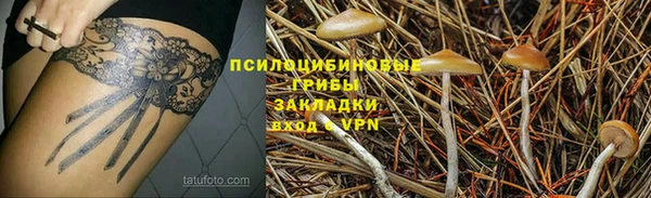 герыч Пересвет