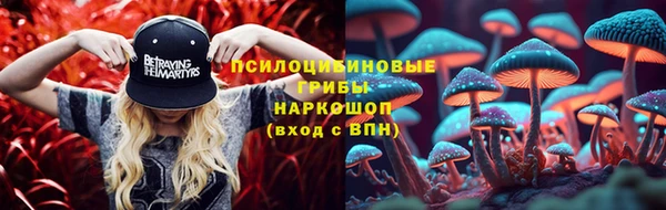 спиды Переславль-Залесский