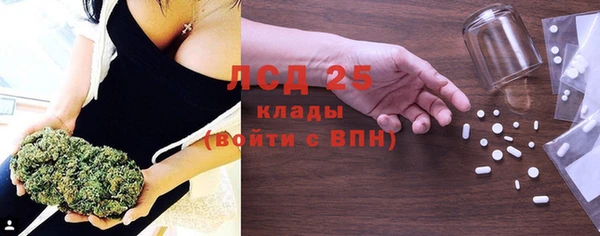 ПСИЛОЦИБИНОВЫЕ ГРИБЫ Надым